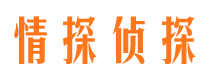 南溪市调查公司